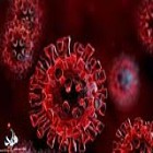 رییس دانشگاه علوم پزشکی ایلام: