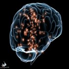 محققان می‌گویند؛