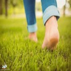 توصیه انجمن قلب آمریکا؛