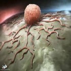 محققان هشدار می‌دهند؛