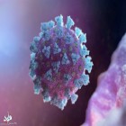 گزارش جدید محققان؛