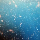 محققان پی بردند؛