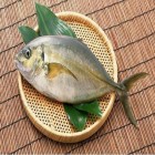 یافته محققان نروژی؛