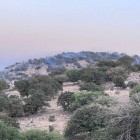 مدیرکل ستاد بحران استانداری