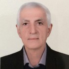 رئيس ستاد حامیان مردمی دولت: