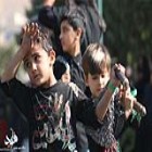 گزارش تصویری؛