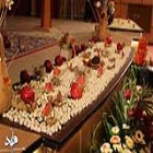 گزارش تصویری؛