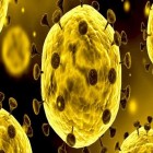 آخرین آمارهای کرونا در کشور تا هفدهم اسفندماه؛