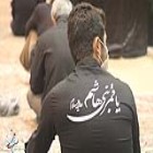 گزارش تصویری؛