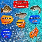 اینفوگرافی؛