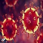 رئیس دانشگاه علوم پزشکی ایلام خبر داد: