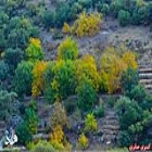 گزارش تصویری؛