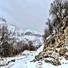 گزارش تصویری؛