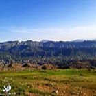 گزارش تصویری؛